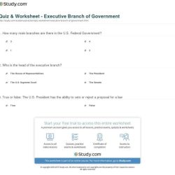 Executive branch worksheet answer key