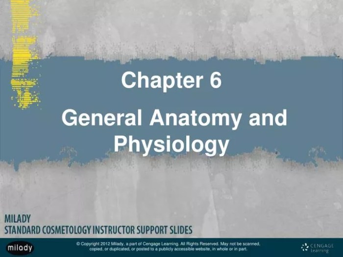 Chapter 6 general anatomy and physiology milady