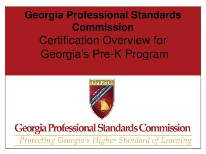 Georgia professional standards commission code of ethics