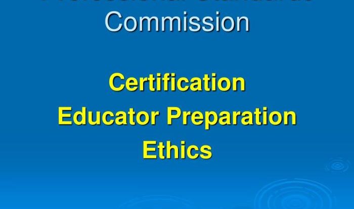 Georgia professional standards commission code of ethics