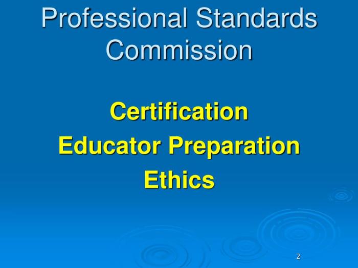 Georgia professional standards commission code of ethics